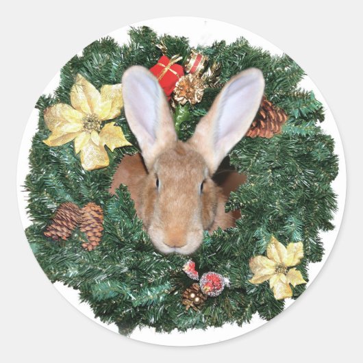 Sticker Rond Noël lapin (Devant)