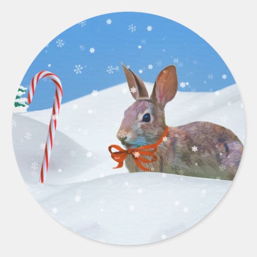 Sticker Rond Noël, Lapin, Neige, Sucres de canne (Devant)