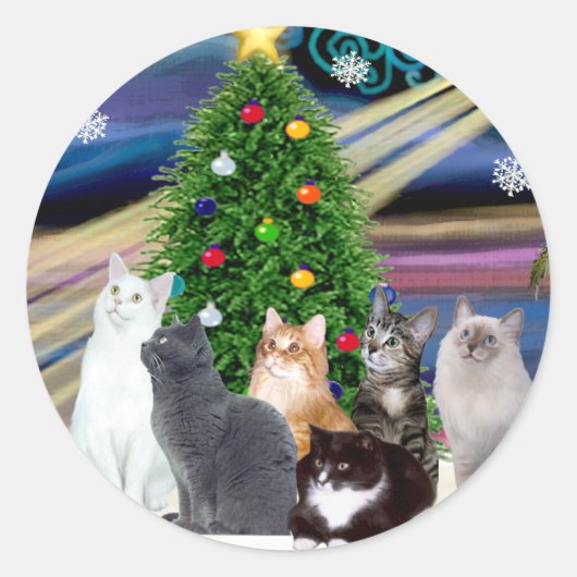 Sticker Rond Noël Magique - Six chats (variété) (Devant)