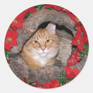 Sticker Rond Noël Tabby