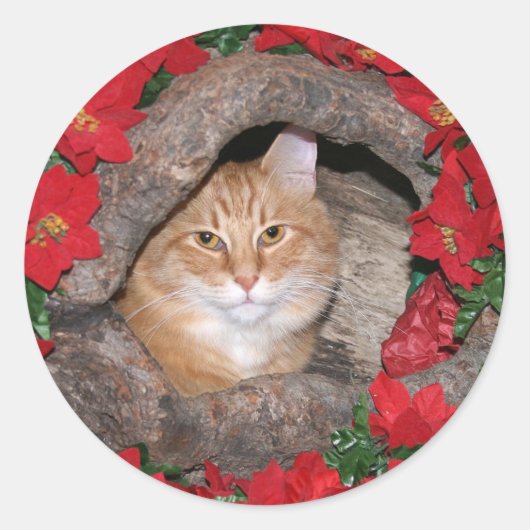 Sticker Rond Noël Tabby (Devant)