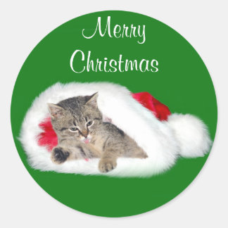 Sticker Rond Noël Tabby kitten