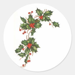 Sticker Rond Noël vintage, plante de houx avec des baies rouges