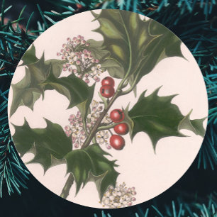 Sticker Rond Noël vintage, plante de houx avec des baies rouges