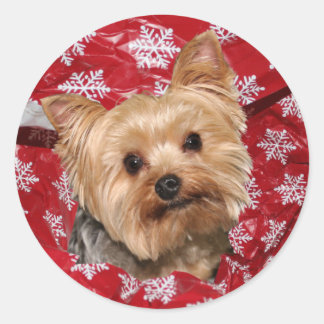 Sticker Rond Noël Yorkie
