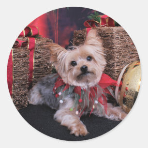 Sticker Rond Noël - Yorkshire Terrier - Vinnie