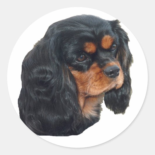 Sticker Rond Noir & Tan (Devant)