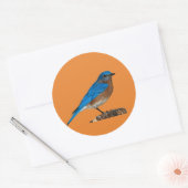 Sticker Rond nom d'oiseau bleu, oiseau bleu, amant d'oiseau ble (Enveloppe)