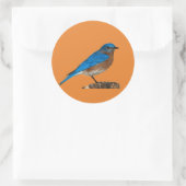 Sticker Rond nom d'oiseau bleu, oiseau bleu, amant d'oiseau ble (Sac)