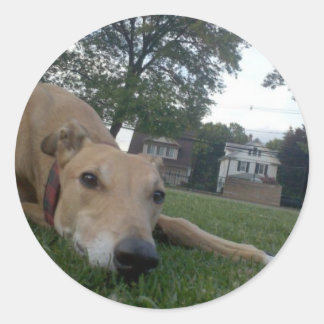 Sticker Rond non défini