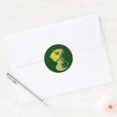 Sticker Rond Noyau Apple (Enveloppe)