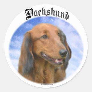 Sticker Rond Nuages Dachshund