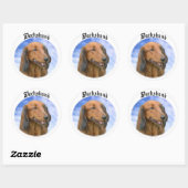 Sticker Rond Nuages Dachshund (Feuille)
