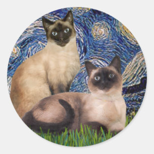 Sticker Rond Nuit étoilée - Deux chats siamois (Choc Pt)