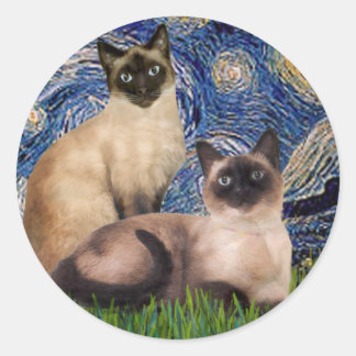 Sticker Rond Nuit étoilée - Deux chats siamois (Choc Pt)