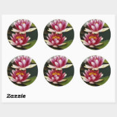 Sticker Rond Nymphéas hybrides (Feuille)