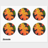 Sticker Rond Oak Leaf dans Six Rivers National Forrest (Feuille)
