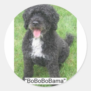 Sticker Rond Obama Pet Portugais Water dog