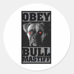 STICKER ROND OBEY ! BULLMASTIFF