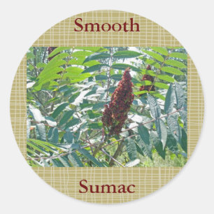 Sticker Rond Objets correspondants aux baies de Sumac lisse