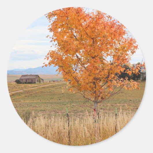 Sticker Rond Octobre lumineux (Devant)