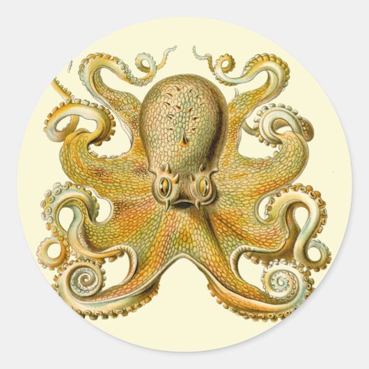 Sticker Rond Octopus illustration antique monstre marin (Devant)