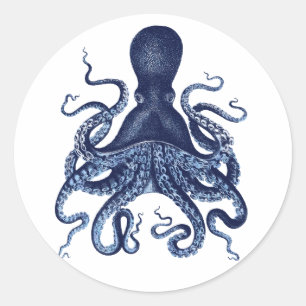 Sticker Rond Octopus Kraken Gravure vintage