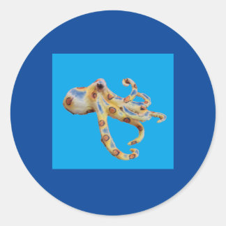 Sticker Rond Octopus unique sur Arrière - plan bleu
