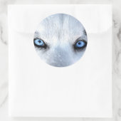 Sticker Rond Oeil bleu sibérien (Sac)