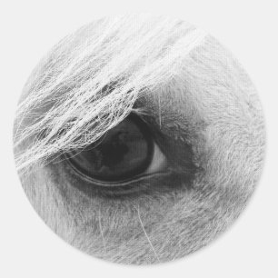 Sticker Rond Oeil de cheval en noir et blanc