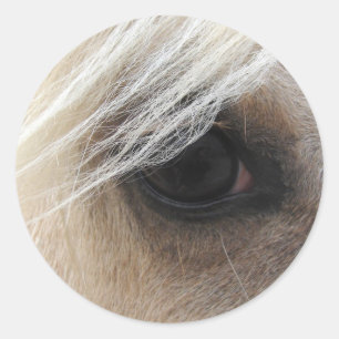 Sticker Rond Oeil de cheval Palomino