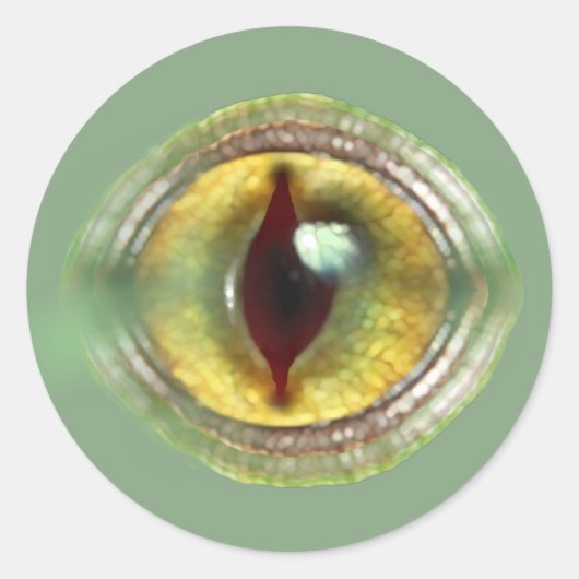 Sticker Rond Oeil de monstre Dinosaure de dragon de reptiles Li (Devant)