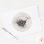 Sticker Rond Œil du chameau – Collection Regards (Enveloppe)