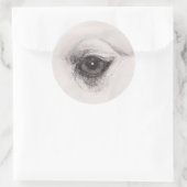 Sticker Rond Œil du chameau – Collection Regards (Sac)