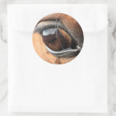 Sticker Rond Oeil du cheval (Sac)