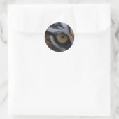 Sticker Rond Oeil du tigre (Sac)
