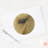 Sticker Rond Oeil équin (Enveloppe)