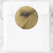 Sticker Rond Oeil équin (Sac)