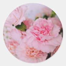 oeillet rose fleurs photographie style vintage