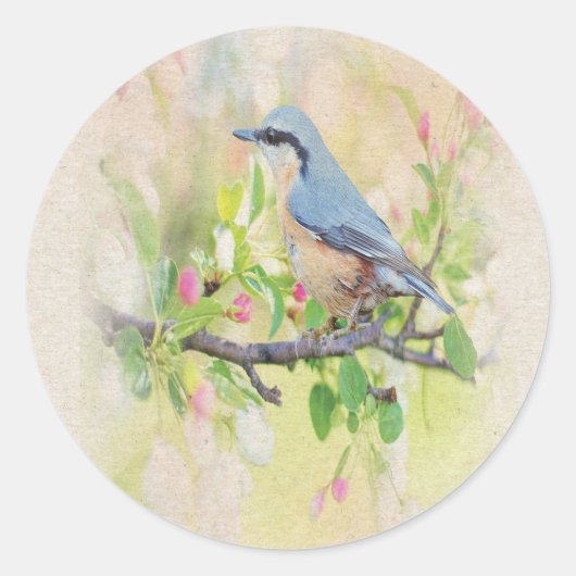 Sticker Rond Oiseau (Devant)