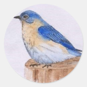 Sticker Rond Oiseau bleu