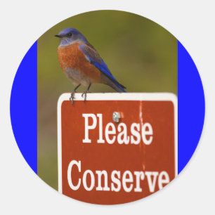 Sticker Rond oiseau bleu