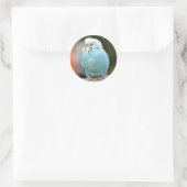 Sticker Rond Oiseau bouddhique bleu mou sur une branche d'arbre (Sac)