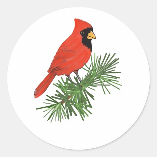 Sticker Rond Oiseau cardinal rouge sur pin (Devant)