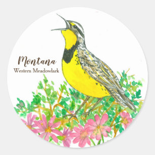 Sticker Rond Oiseau-chanteur de l'Ouest du Montana Meadowlark