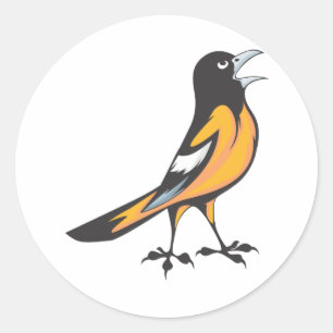 Sticker Rond Oiseau de Baltimore Oriole
