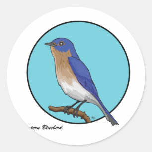 STICKER ROND OISEAU DE BLUEBIRD EST