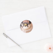 STICKER ROND OISEAU DE PROIE (Enveloppe)