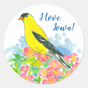 Sticker Rond Oiseau d'or jaune Rose sauvage