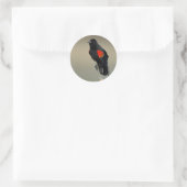Sticker Rond Oiseau roux (Sac)